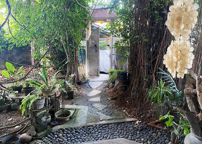 Shady Grove Healing Centre & W House Rules Please Read Before *