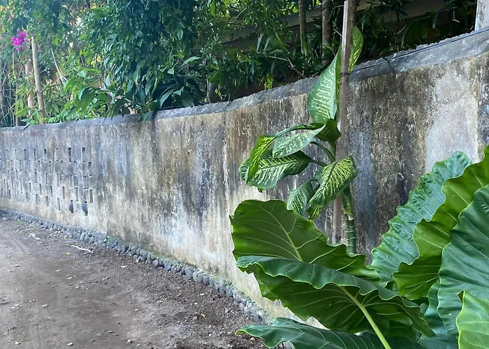 Shady Grove Healing Centre & W House Rules Please Read Before * Sanur