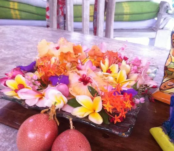 Shady Grove Healing Centre & W House Rules Please Read Before Sanur