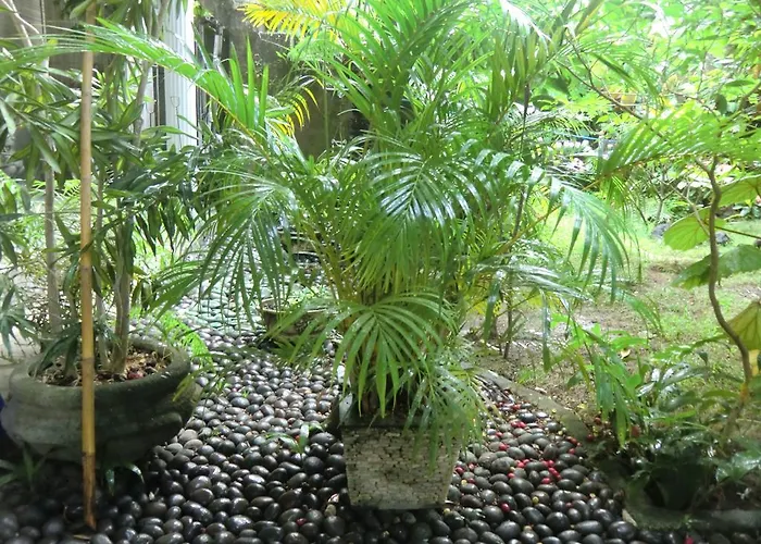 Shady Grove Healing Centre & W House Rules Please Read Before