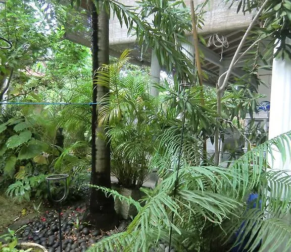 Shady Grove Healing Centre & W House Rules Please Read Before Privatunterkunft