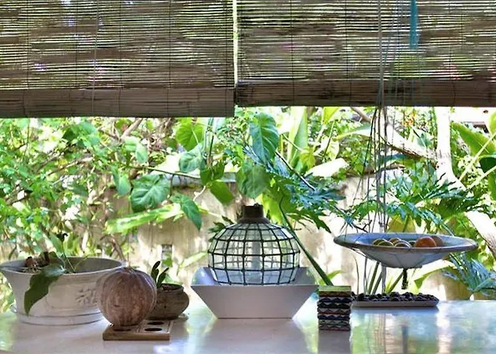 Shady Grove Healing Centre & W House Rules Please Read Before Sanur